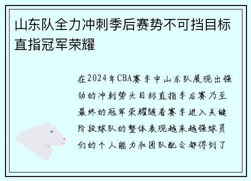 山东队全力冲刺季后赛势不可挡目标直指冠军荣耀