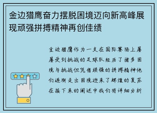 金边猎鹰奋力摆脱困境迈向新高峰展现顽强拼搏精神再创佳绩
