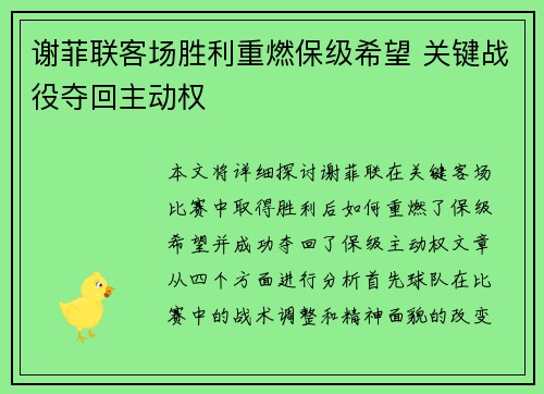 谢菲联客场胜利重燃保级希望 关键战役夺回主动权