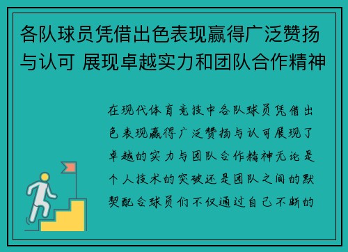 各队球员凭借出色表现赢得广泛赞扬与认可 展现卓越实力和团队合作精神