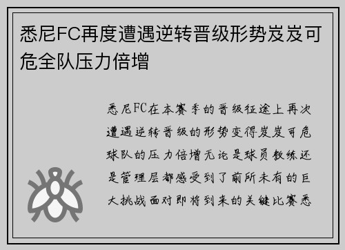 悉尼FC再度遭遇逆转晋级形势岌岌可危全队压力倍增